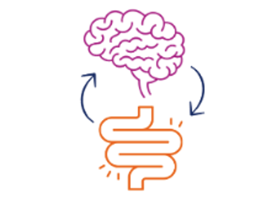 Gut-brain-axis alterations after vagus nerve stimulation in refractory epilepsy (E-GUT-VNS)